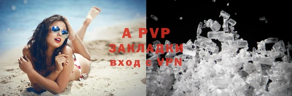 apvp Магас