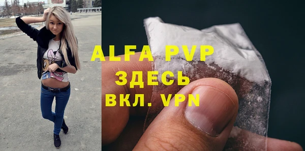 прущие грибы Россошь