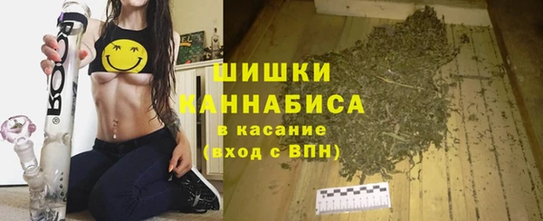 ПСИЛОЦИБИНОВЫЕ ГРИБЫ Алексин