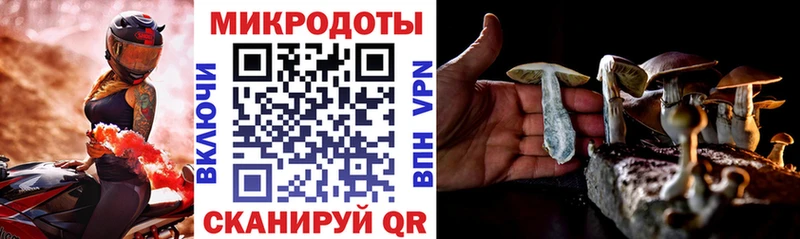 Псилоцибиновые грибы ЛСД  цены   Аргун 