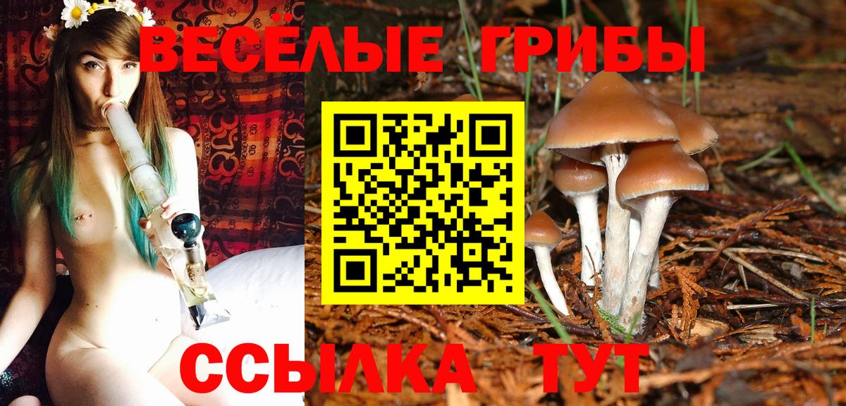 Псилоцибиновые грибы Psilocybine cubensis  Галлюциногенные грибы Magic Shrooms  Аргун  Вход с VPN 